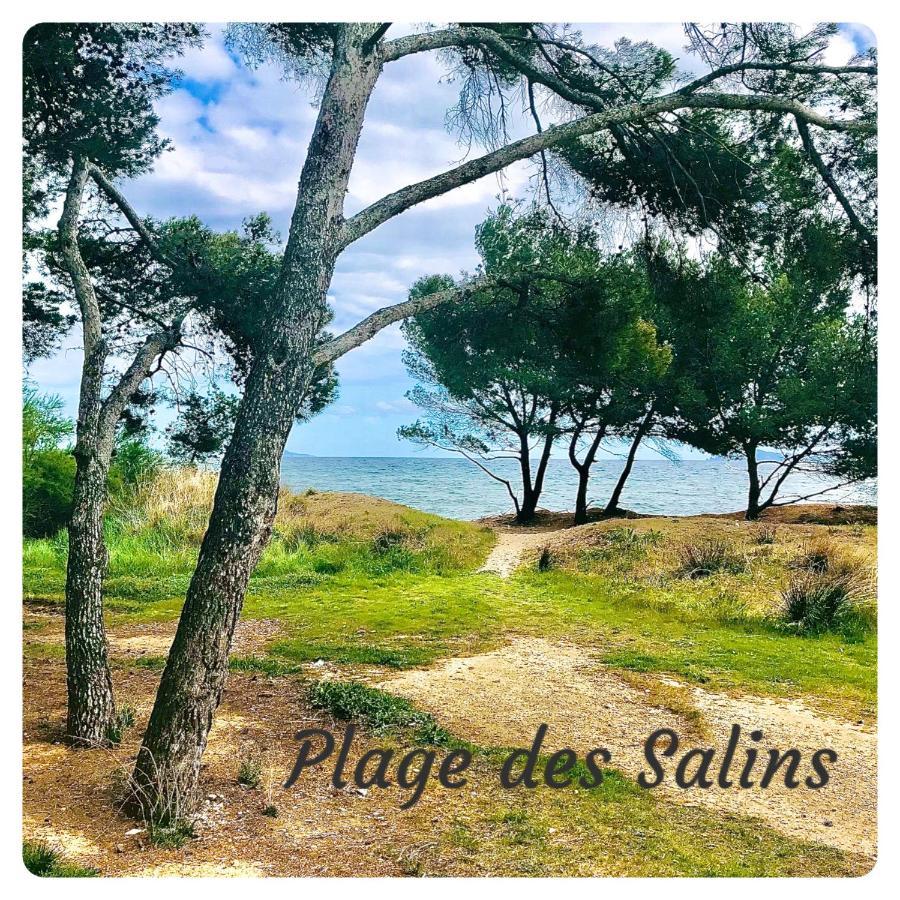Studio Port D'Hyeres Vue Mer Et Iles De Porquerolles Et Port-Cros Kültér fotó